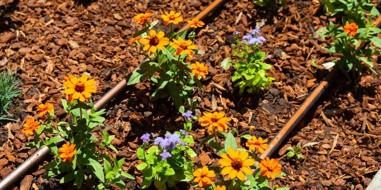 Commercial Drip Irrigation Solutions