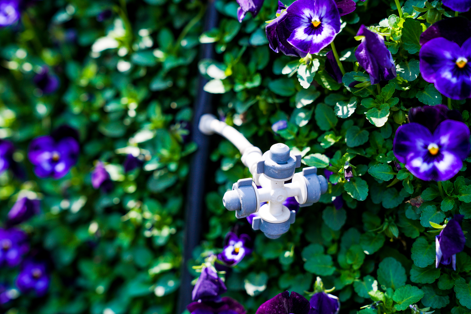 Low Volume Control Zone Kits Netafim USA