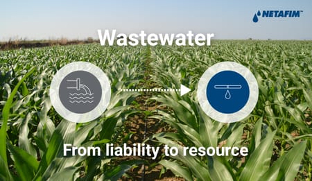 ¿Por qué no podemos verter aguas residuales en nuestros campos?