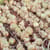 Onions