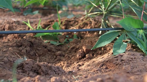 drip irrigation farming