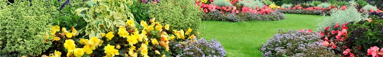 Balancing Beauty and Conservation: Why Green Landscapes Are Still Possible