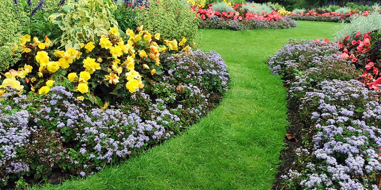 Drip Irrigation & Water Conservation Solutions