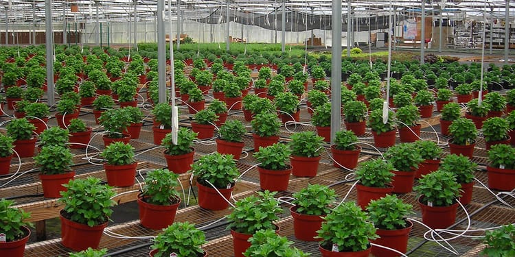 Greenhouse & Nursery Irrigation Products 