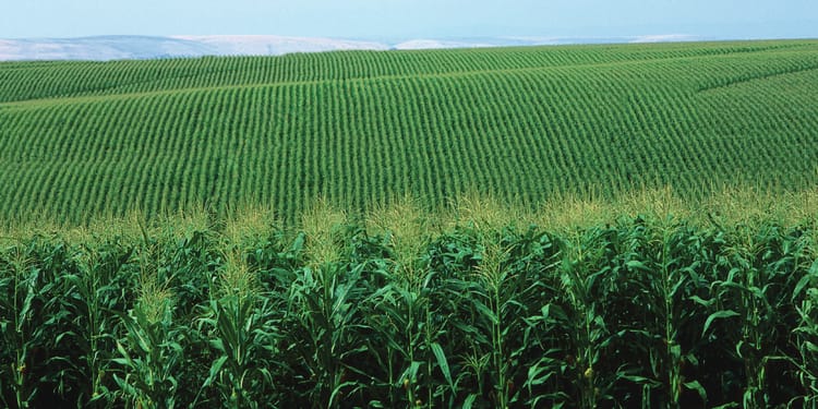 Funding Resources for Utah Farmers