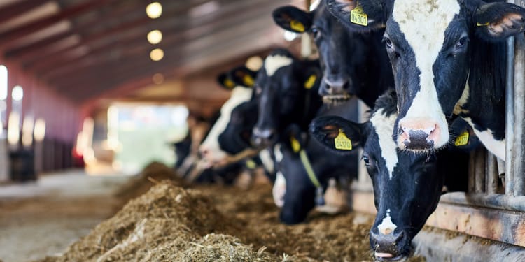 Got manure?