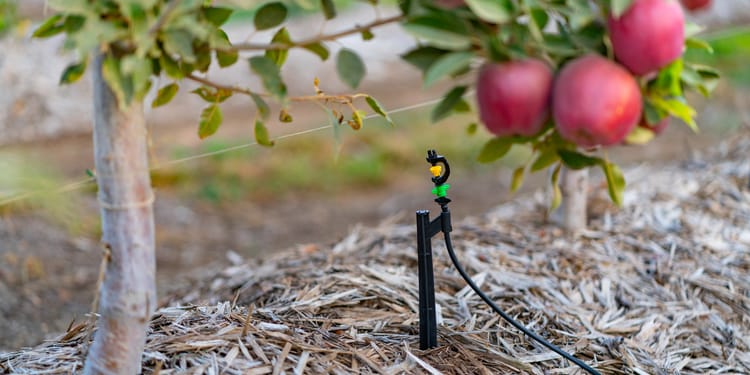 WATER-USE EFFICIENCY WITH PRECISION IRRIGATION