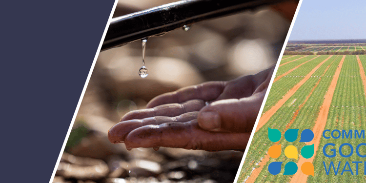 Common Good Water