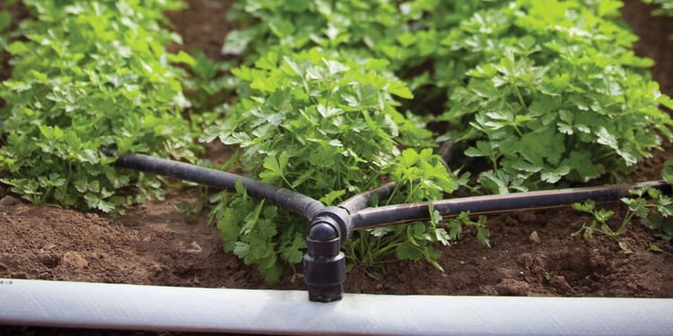 PRODUTOS E SOLUÇÕES PARA IRRIGAÇÃO INTELIGENTE 