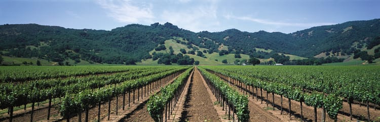 Banner Farming With Purpose: My Everyday Mission