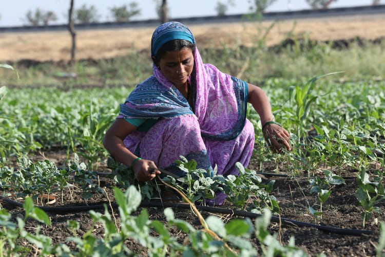 Ramthal-India- Community Irrigation Project 08