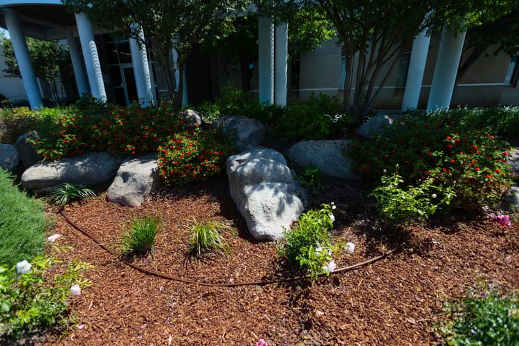 Techline Copper Photoshoot 63