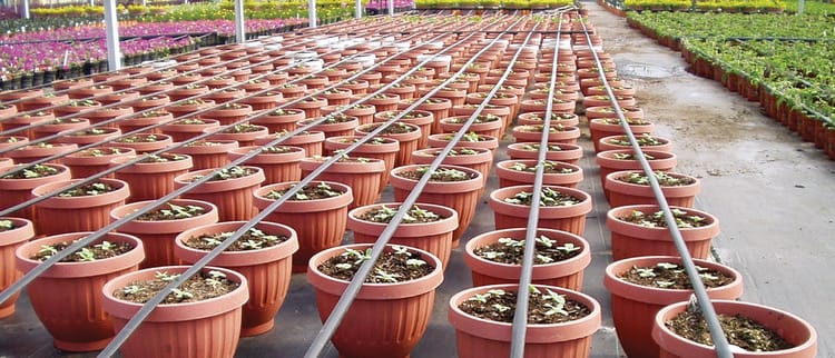 Driplines for precision irrigation