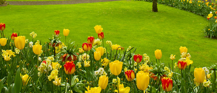 Drip Line Components