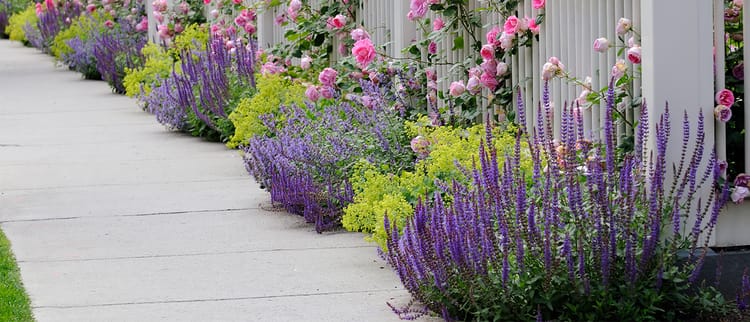 Filtration Solutions For Any Water Source