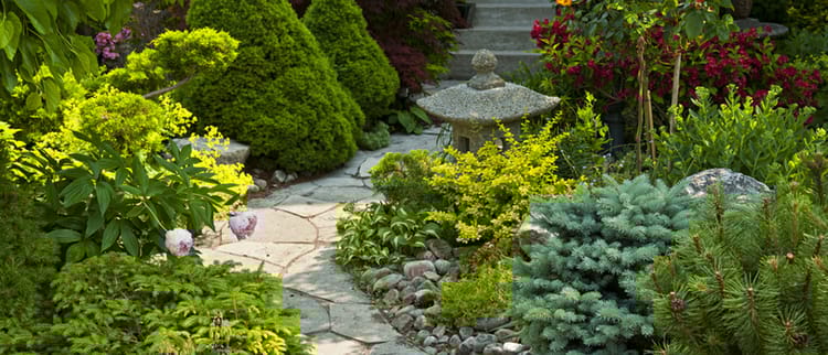 Point Source Components