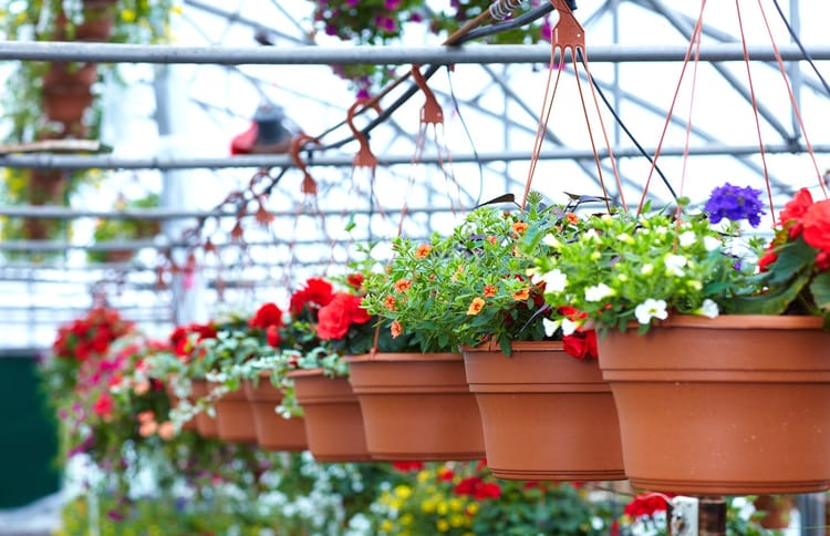 Greenhouse Irrigation System by Leading Irrigation Company