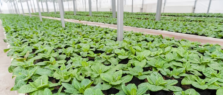 Valve Solutions for Water Control