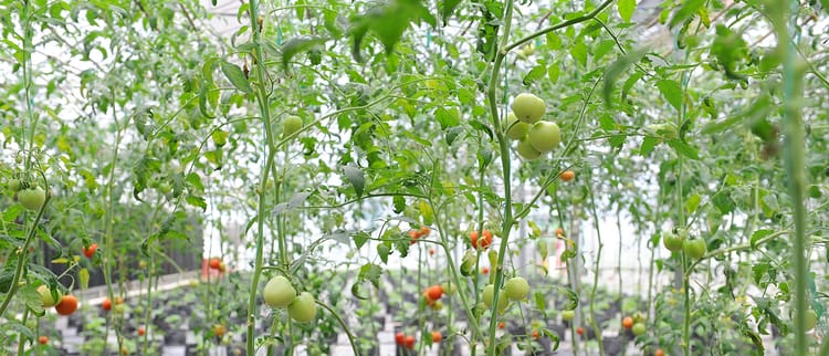 Filter solutions for performance