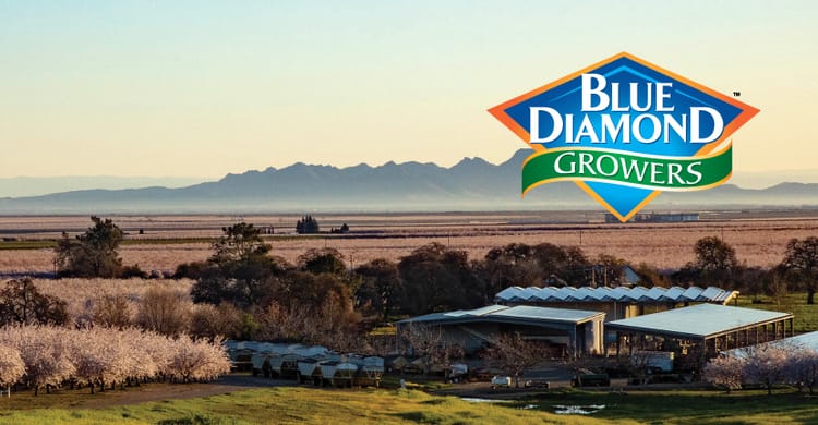 Blue Diamond Marketplace