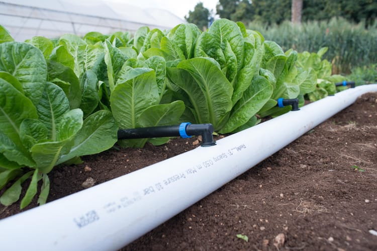 FLEXNET™ Extended Warranty Registration