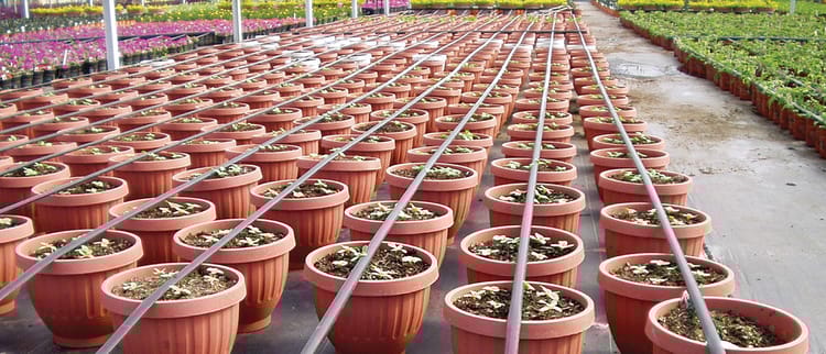 Driplines for precision irrigation 