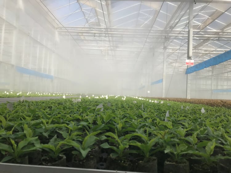 Tissue Culture GreenHouse used Vibronet 02