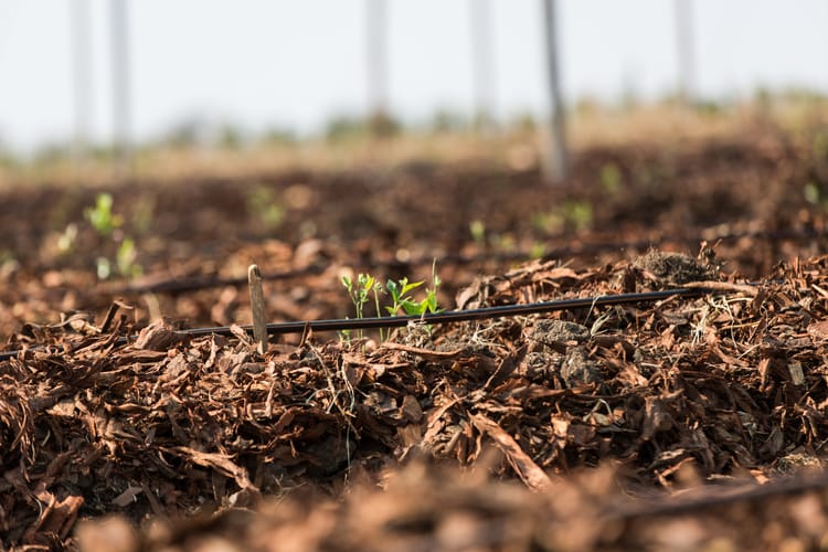 Precision irrigation solutions for field crops