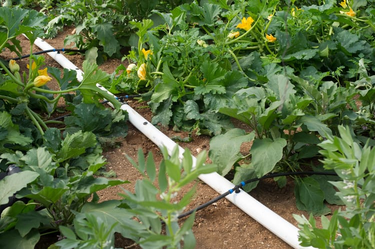 Flexible and PE pipes 