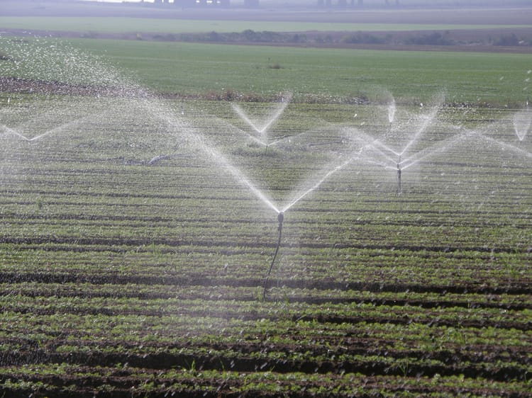 MegaNet 24D in the field