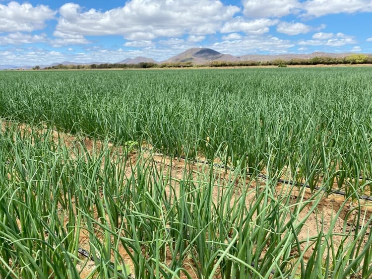 Banner Tackling The Challenges Of Rising Farming Costs
