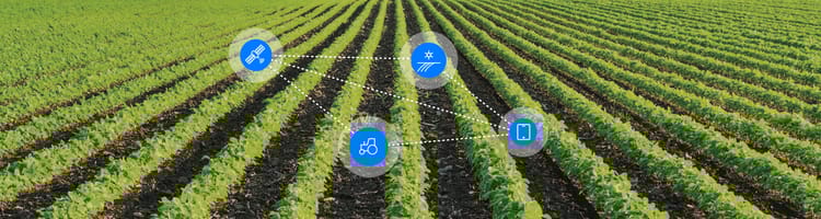 Protected Agriculture - Getting Closer to the Source with Greenhouses