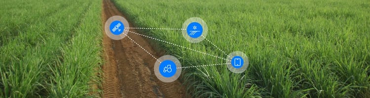 Banner The future of food lies in data transparency and sharing