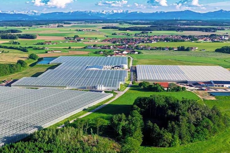 greenhouse-gakon-netafim