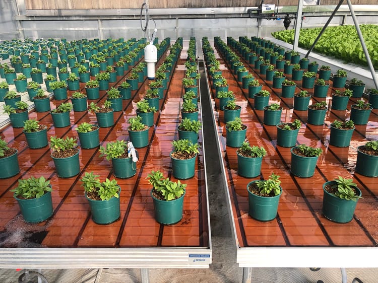 greenhouse irrigation system