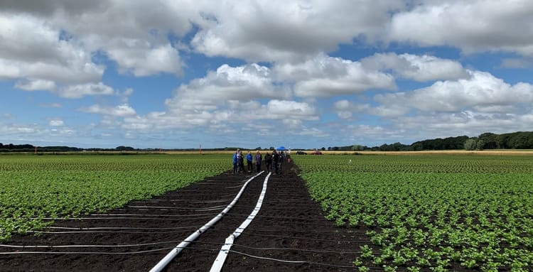 Banner Is Water The Next Carbon?