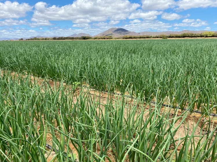 Banner Tackling The Challenges Of Rising Farming Costs