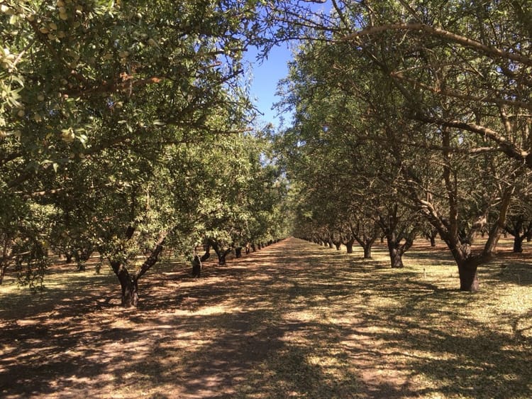 Banner Combating Drought with Sustainable Agriculture