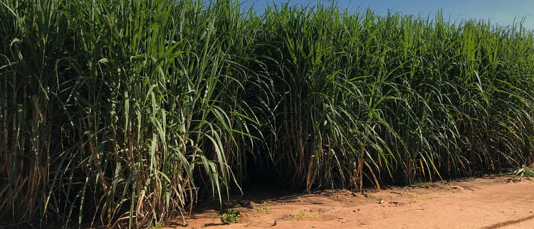 Maior longevidade, mais produtividade, menor custo por tonelada.