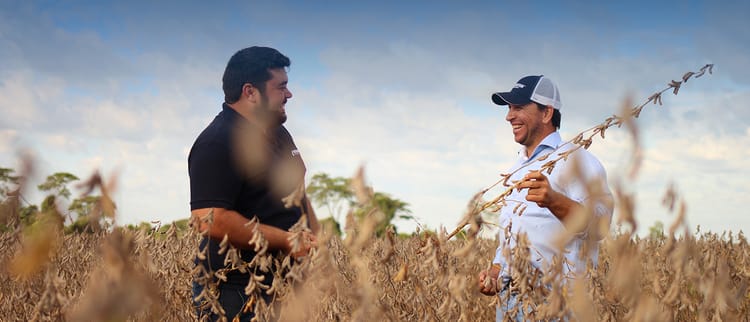 Soluções para cultivos