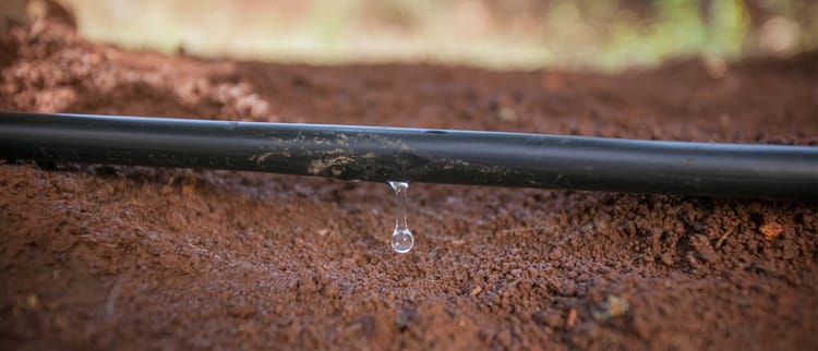 GOTEJADORES E TUBOS GOTEJADORES