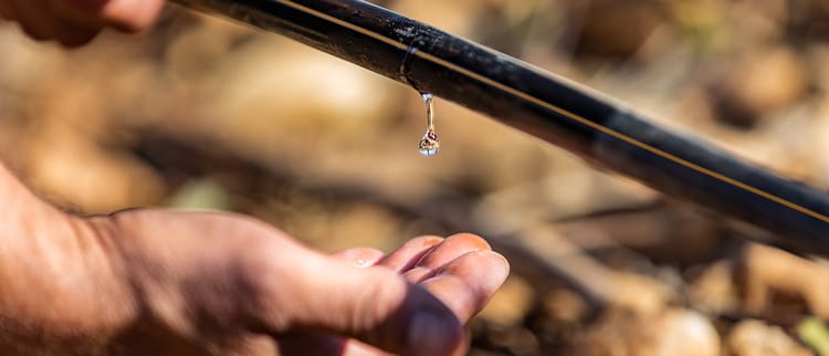 L'uso efficiente dell'acqua con l'irrigazione di precisione