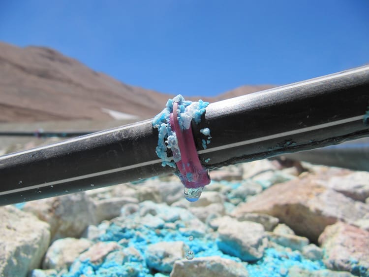 Black irrigation piping that has developed a leak, dripping water, with blue and white buildup at the leak site.
