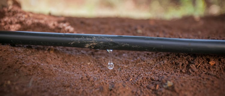 Drippers and dripperlines