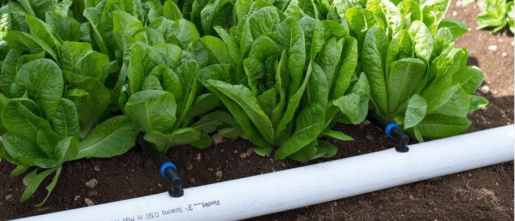 FLEXNET™ Warranty registration