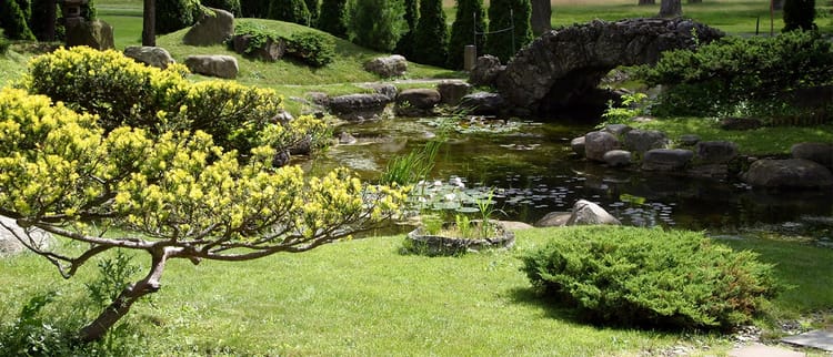 Drip Dispersal Solutions