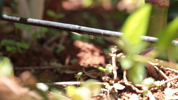 Eficiência no uso da água com a irrigação inteligente 