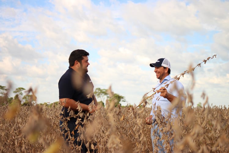 Soybean_SaoPaulo_Brazil 17