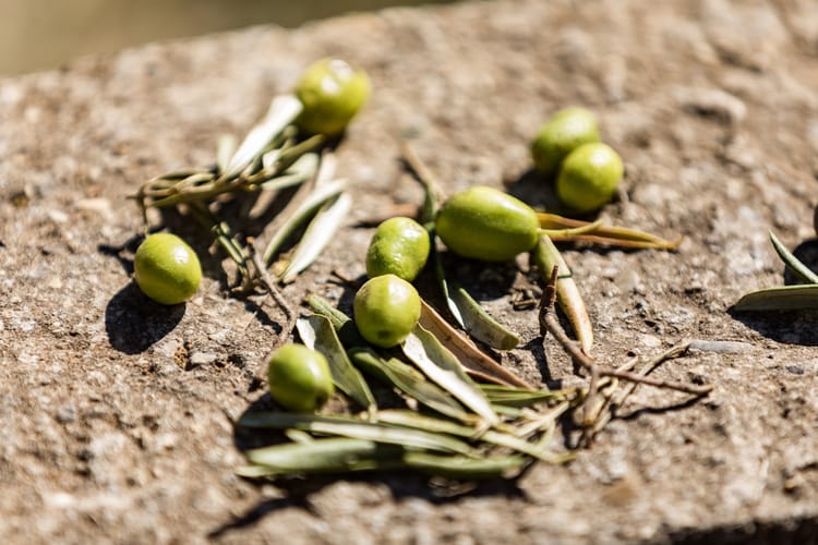 Olives 01