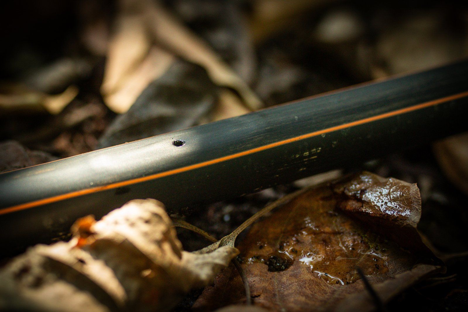 Why Precision Irrigation Matters More as Controlled Environment Agriculture Grows